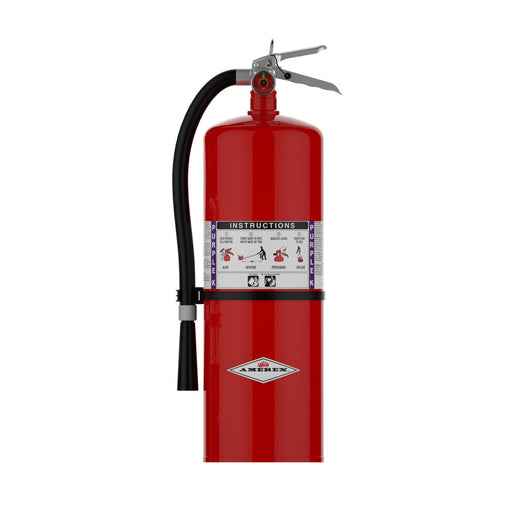 Amerex® A413 Purple K Fire Extinguisher, 2O Pound, 120BC, With Wall Bracket, 11215