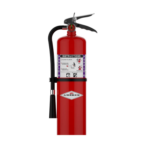 Amerex® B460 Purple K Fire Extinguisher, 1O Pound, 80BC, With Wall Bracket, 14965