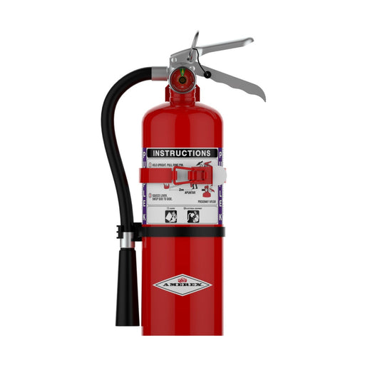 Amerex® B479T Purple K Fire Extinguisher, 5 Pound, 30BC, With Vehicle Bracket, 15288