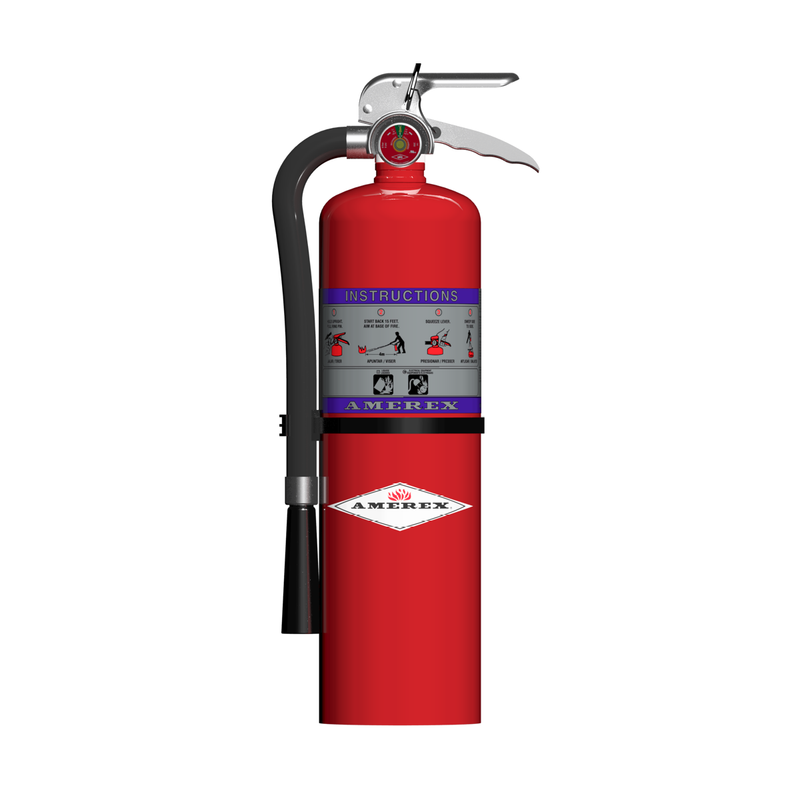 Amerex® 712 Z Series High Performance Compliance Flow Purple K Fire Extinguisher, 10 Pound, 80BC, With Wall Bracket, 27941