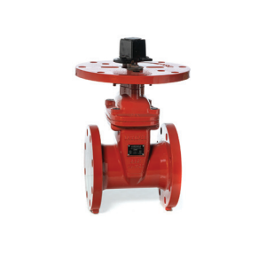 Lansdale 700-275-00040 NRS PIV Gate Valve With Plate, Flanged, 6"