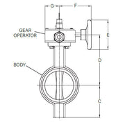 Grooved Butterfly Valve With Tamper Switch, Normally Closed