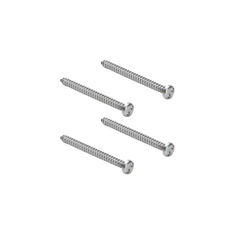 2 in. Tamper-resistant Stainless Steel Screws, KIT-81
