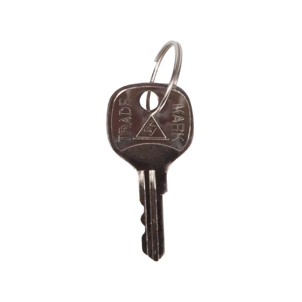 Two Extra Keys for Stopper Station Key-to-Activate Switch, KIT-H18062