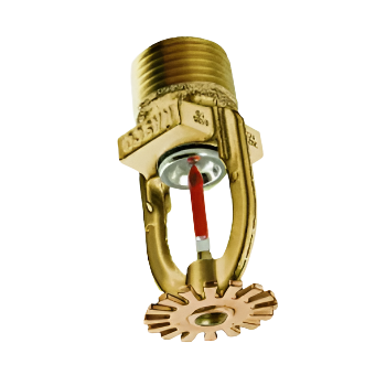 RASCO/Reliable® R3513, Model F1RES 58, Residential, Pendent, 5.8K, QR, 1/2" NPT, Brass, 155 Degree, 58P1BN, CV151131S9, Fire Sprinkler Head