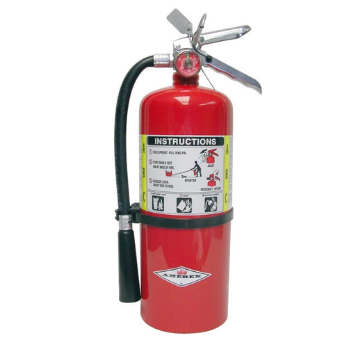 Amerex B443 Fire Extinguisher, ABC, 6lb, 3A40BC, With Wall Bracket
Manufacturer Part Number:  15393
