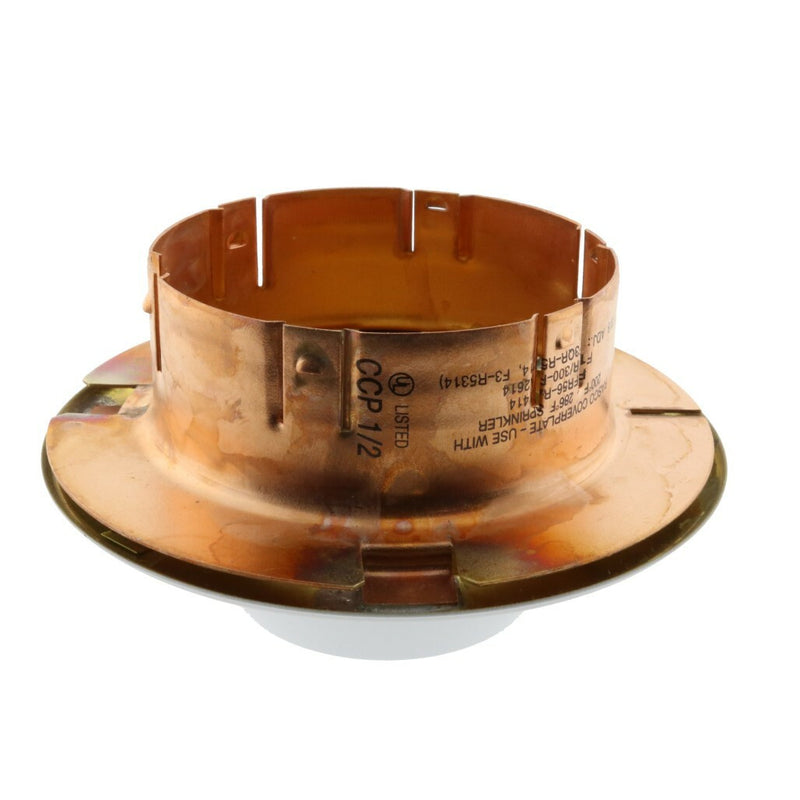 RASCO/Reliable Concealed Domed CCP Escutcheon