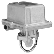 Safe Signal WFD30EXP-2 3" Explosion Proof Waterflow Switch