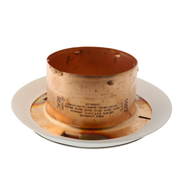 RASCO/Reliable Model G4 G5 Standard Response Sealing Clean Room Concealed Fire Sprinkler Escutcheon, 165 Degree, Stainless Steel CG4S1SS 6887031610 - WeSupplyIt.com